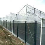 Hot Dip Galvanized Steel Pipe Green House Hothouse Ventilated Plastic Sawtooth