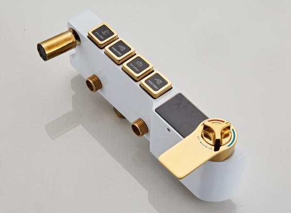 Polished Bathtub Thermostatic Intelligent Electricity Shower Temperature