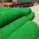 Length Normal 50m HDPE 3D Geomat in Green Black for Landscape and Slope