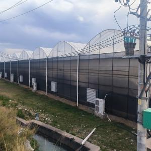 Wholesale Steel Tructure Agricultural Poly Tunnel Black Shading Multi-span Greenhouse with Optional Cooling System from china suppliers