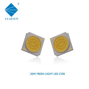 Wholesale 30W 9000-12000K LED COB CHIPS HIGH CRI RICH COLOR LED COB CHIP FOR BEEF from china suppliers