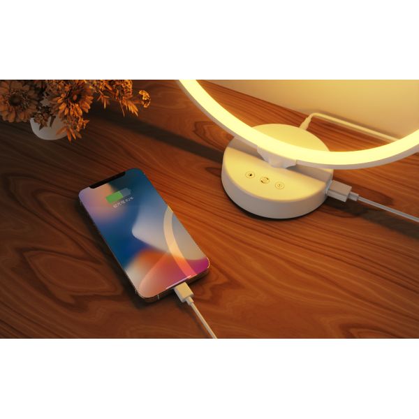 10000 Lux UV Free Sun Lamp Dimmable Light Therapy Lamp with Timer and Remote Control