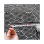 Galvanized Iron Wire Gabion Box Exporter for PVC Coated Wall Specifications