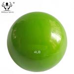 Soft Weighted Mini Gym Exercise Ball PVC Toning Ball 1lb-10lb Weight
