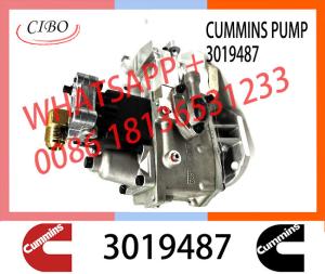 Wholesale Genuine Diesel Fuel Injection Pump 2048809 3019487 3059657 For Cummins NT855 from china suppliers