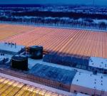 Customized Snow Vibrator Greenhouse for Tomato Planting Single or Multi Span