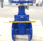 GGG50 gate valve resilient seal valve DIN standard PN16