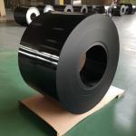 Prime Hot Dipped Prepainted PPGL Steel Coil for PPGI Color Coated Galvanized