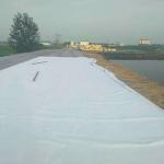 50m Length Three-Dimensional Composite Geonet for Drainage in Industrial