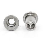 Nickel Plated Stainless Steel Rivet Nut Flat Head Grade 8.8 For Heavy Duty