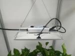 120W Quantum Board Led Grow Lights