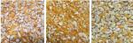 Professional 192 Channels Grain Color Sorter Machine for Peanut / Corn / Rey
