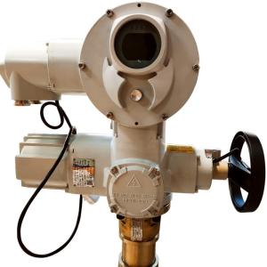 China OEM Intelligent Adjustment Electric Valve Actuator Electric Linear Actuator on sale