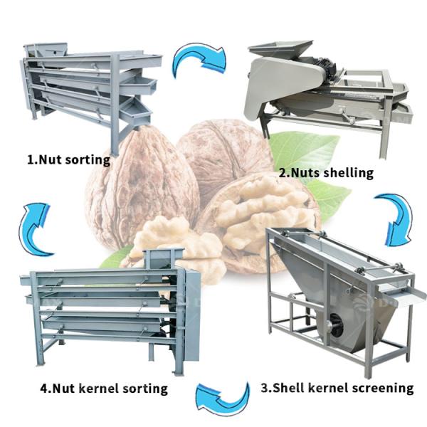 Multi-functional Technological Line for Cashew Nuts Peanut Nut Production Customizable