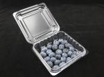 125g Blueberry Clamshell Plastic Packaging Boxes Impact Resistance