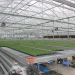 Space Saving Easy Installation Commercial Greenhouse Wire Mesh Tables Greenhouse