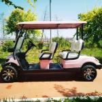 Pink Color 60V 4KW AC System EV Golf Cart New Energy Off Road Electric Golf Cart