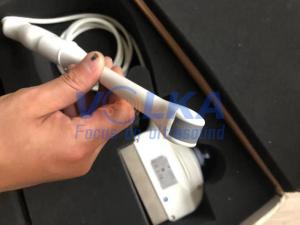 Wholesale GE LogiqP5 LogiqP6 LogiqS6 Endocavity Array Original Ultrasound Probe E8CS from china suppliers