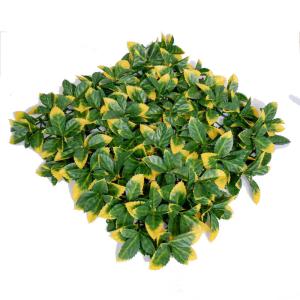 Wholesale Customized Plastic Plant Artificial Green Walls Enviromental Friendly from china suppliers
