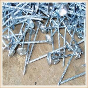 Wholesale common nails,2.5' 500mm Common Wire Nails Q195 Q235 Needle Point Smooth Shank Polished from china suppliers