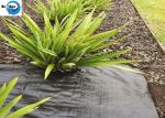 PP Woven Weed Barrier Control Sulzer Weed Mat Ground Black Cover Fabric in