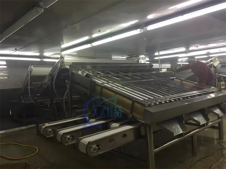 Stable Small Fish Grading Machine Multifunctional 6000x5200x2200mm