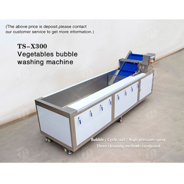 Commercial Fruit And Vegetable Washing Machine High Pressure Water Flow
