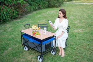 Wholesale Outdoor Camping Cart 8 Inch Wheels Folding Wagon Stroller Collapsible Service Cart from china suppliers