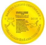 China high quality Irish coin in gold plated coin / gold replica coins