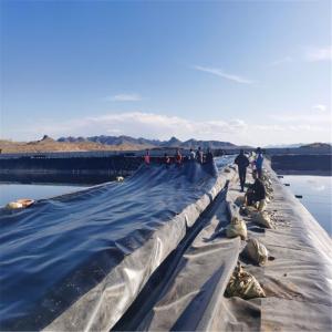 Wholesale Store Sales Promotion HDPE Geomembrane Liner for Plastic Protection Requirements from china suppliers