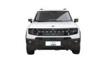 Jetour Shanhai T1 Chery Electric Car with Four-Leaf Clover Taillights and Hard