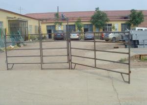 Wholesale Square Style Galvanized Cattle Panels , Livestock Metal Fence Panels CE Certified from china suppliers
