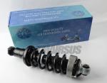 Air Suspension Shock Strut Absorber Audi R8 Rear With ADS 420512019AL 420512020A