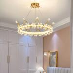 Circle chandelier for indoor home decoration kids room ring chandelier(WH-MI-441