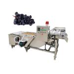 Banana Stem Pitaya Washing Machine Guangzhou