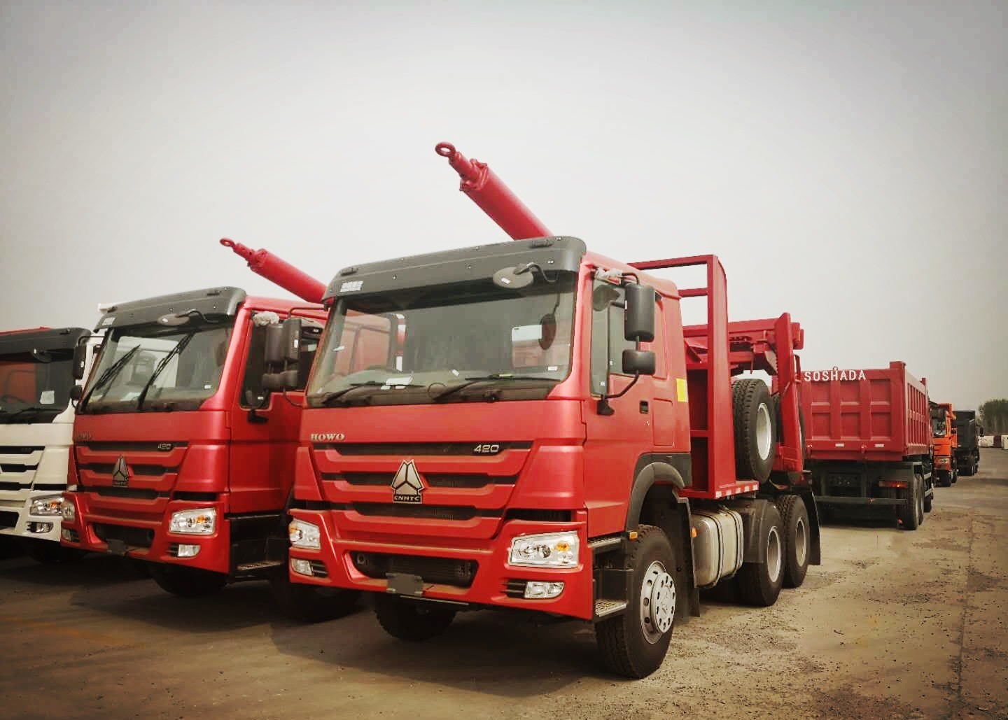 Right Hand Driving 6*6 400l Log Carrier Truck Sinotruk Howo Brand With Any Color