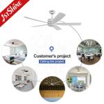 Living Room 52 Inch Large Air Flow LED Ceiling Fan ABS Blade Body LED Lamp