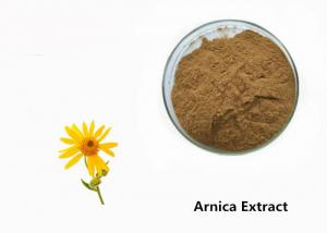 China Arnica Plant Extract Powder on sale