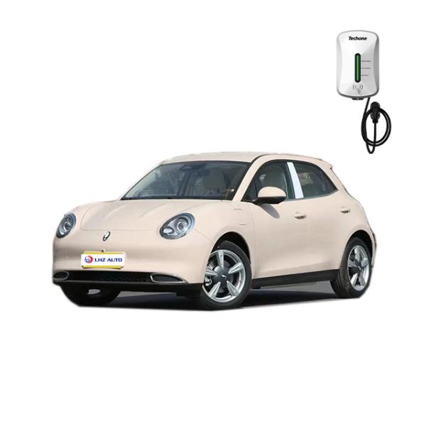 Great Wall ORA Good-cat 401km 501km Auto Energy Electric Car 2022 Within Your