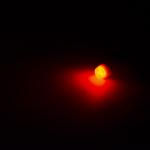Car LED Light Bulbs For Home / Door Courtesy / Parking Lights Automotive /led