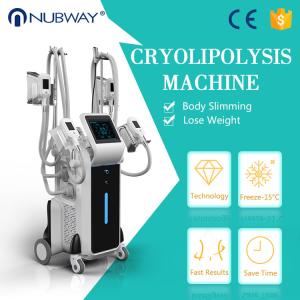 Wholesale Cool sculption 4 cryo handles cyolipolysis slimming fat feeze weight loss machine from china suppliers