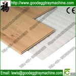Single-Screw Extruder Foam Sheet/board/pipe/net Machine(FCFPM-170)