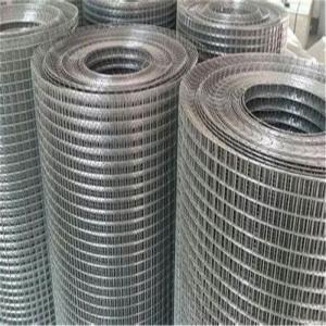 Wholesale Customizable Galvanized Welded Wire Mesh For Enclosure Farming from china suppliers
