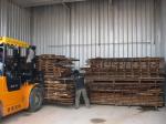 Automatically Small Timber Drying Kiln Aluminum / Stainless Steel Materials