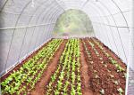 Non Woven Ground Cover Agriculture Non Woven Fabric Prevent Weeds From Ruining
