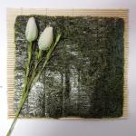 Availability Rolling Sushi Roasted Seaweed Nori With Dark Green Ingredients