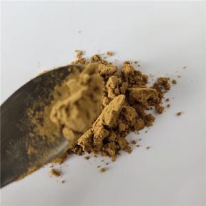 Wholesale Medicine Grade immune anti-fatigue isatis root extract for capsule from china suppliers