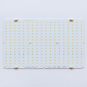 Wholesale UV IR 660nm Red Horticulture LED Module Lm301h Kingbrite Quantum Board from china suppliers