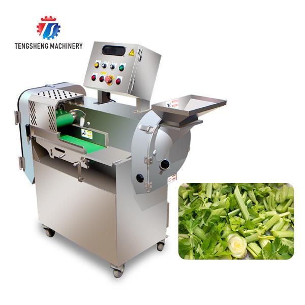 2.25kw 1000kg/h Large commercial multi-functional vegetable cutting machine