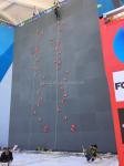 Large size bright green fast shipping wall holds for your climbing wall